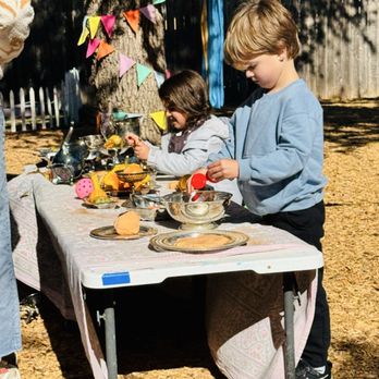 The Art House By Sapling Studio - Art Classes Near Me - Cedar Park, Texas The Art House By Sapling Studio - Art Classes Near Me - Cedar Park, Texas