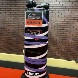 iLoveKickboxing - Reno