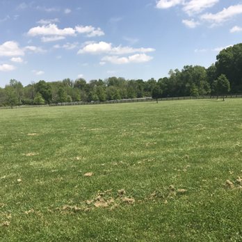 Three Creeks Dog Park - Park - Dog Parks Near Me - Columbus, Ohio Three Creeks Dog Park - Park - Dog Parks Near Me - Columbus, Ohio