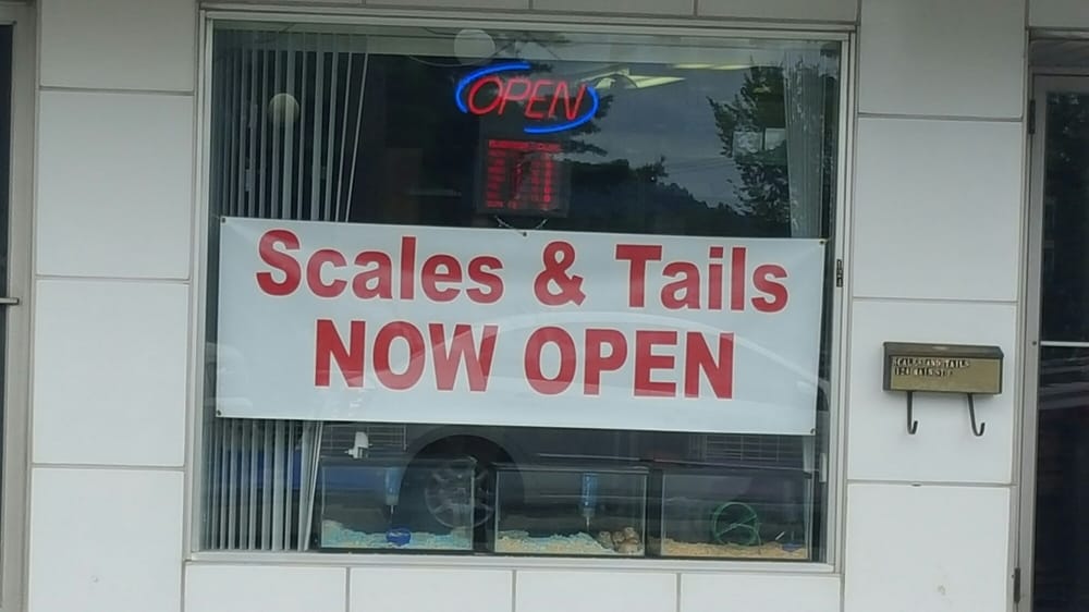 SCALES N TAILS PETS & SUPPLIES 124 Main St E, Oak Hill, WV Yelp