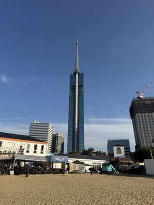 Fukuoka Tower by null