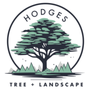 Photo of Hodges Tree and Landscape