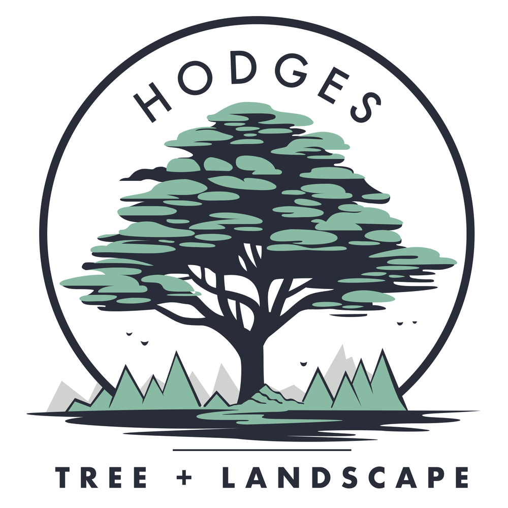 HODGES TREE AND LANDSCAPE Updated September 2024 Germantown, Tennessee Tree Services