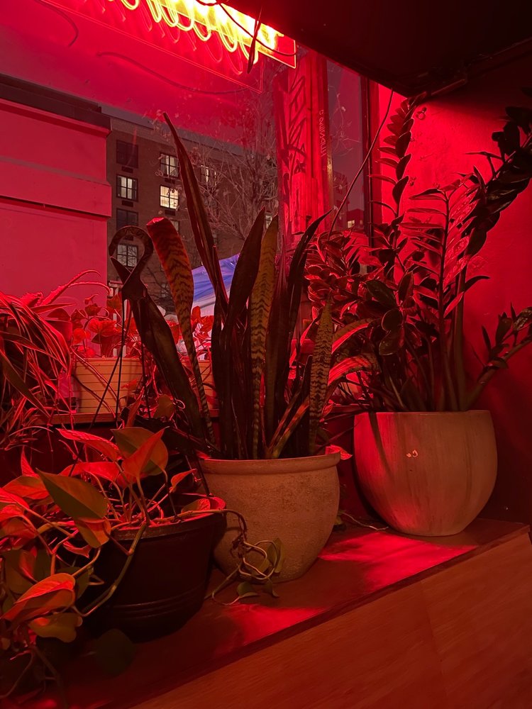 Botanica Bar