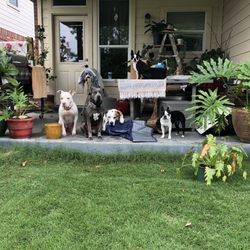 Vanguard Veterinary Clinic - Our little family