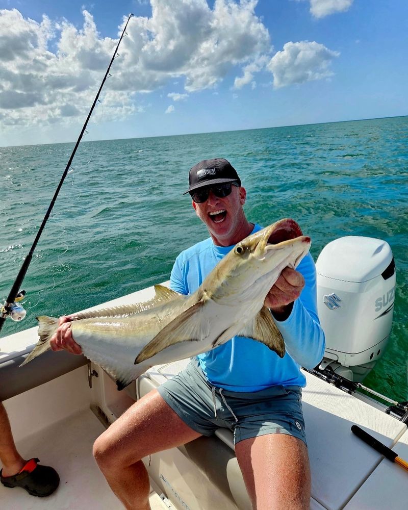 In 2 Deep Offshore Fishing Charters Logo