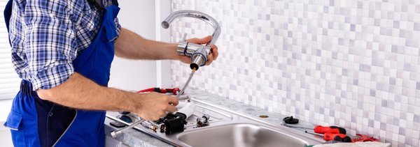 Mesquite Home Services Logo