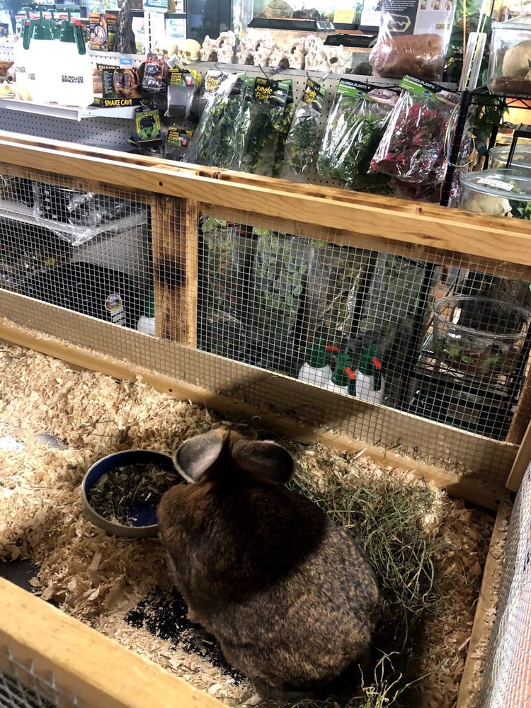 ANIMAL JUNGLE PET SHOP Updated September 2024 13 Photos & 10