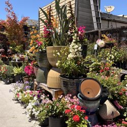 Sloat Garden Center