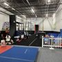 Photo of Gymnastics USA