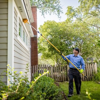 SpringGreen - a man using a pole to trim a tree - Tree Services Near Me - Enid, Oklahoma SpringGreen - a man using a pole to trim a tree - Tree Services Near Me - Enid, Oklahoma