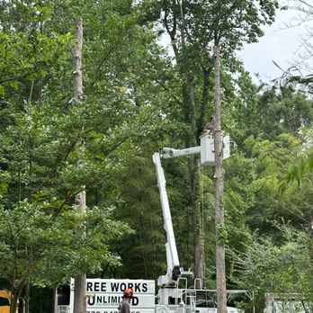 Tree Works Unlimited - Awesome job removing dangerous trees from around our house. - Tree Services Near Me - Douglasville, Georgia Tree Works Unlimited - Awesome job removing dangerous trees from around our house. - Tree Services Near Me - Douglasville, Georgia
