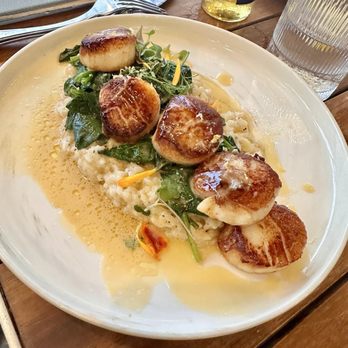 Anchor and Brine - Scallop - Seafood Near Me - Tampa, Florida Anchor and Brine - Scallop - Seafood Near Me - Tampa, Florida