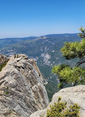 Yosemite National Park by null