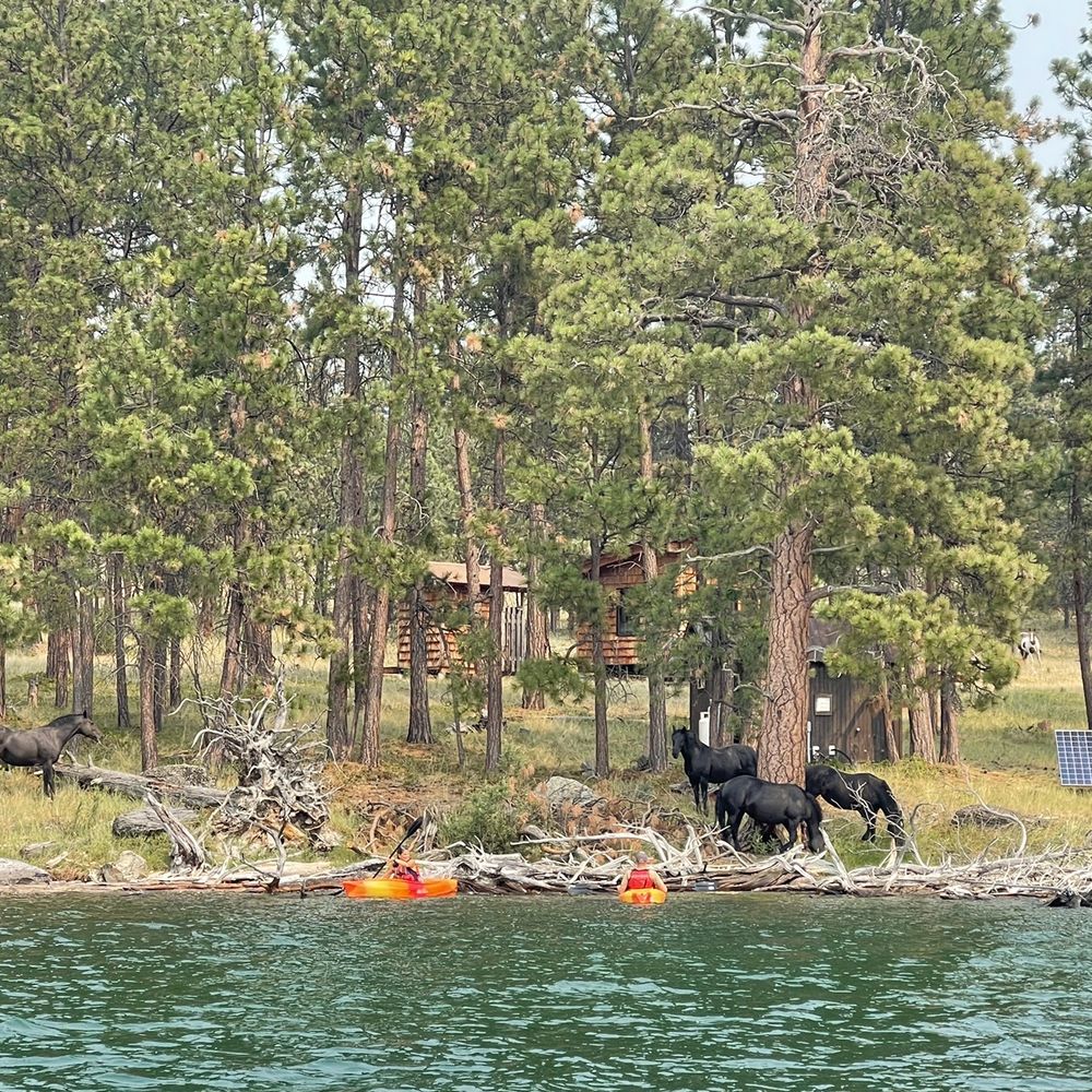 Flathead Boat Company - Wild horse island - Boating Near Me - Polson, Montana