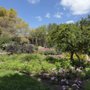 Photo of Huntington Garden Estate Hoa