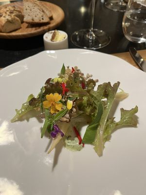 Goldene Sonne by null