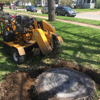 Chippeway Stump Grinding - Tree Services Near Me Chippeway Stump Grinding - Tree Services Near Me