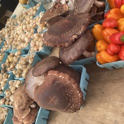 Forest Park Farmer's Market