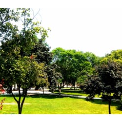 Walker Square Park