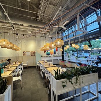 RASA - Decor - Indian Near Me - Fairfax, Virginia