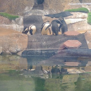 EL PASO ZOO - Updated January 2026 - 341 Photos & 126 Reviews - 4001 E