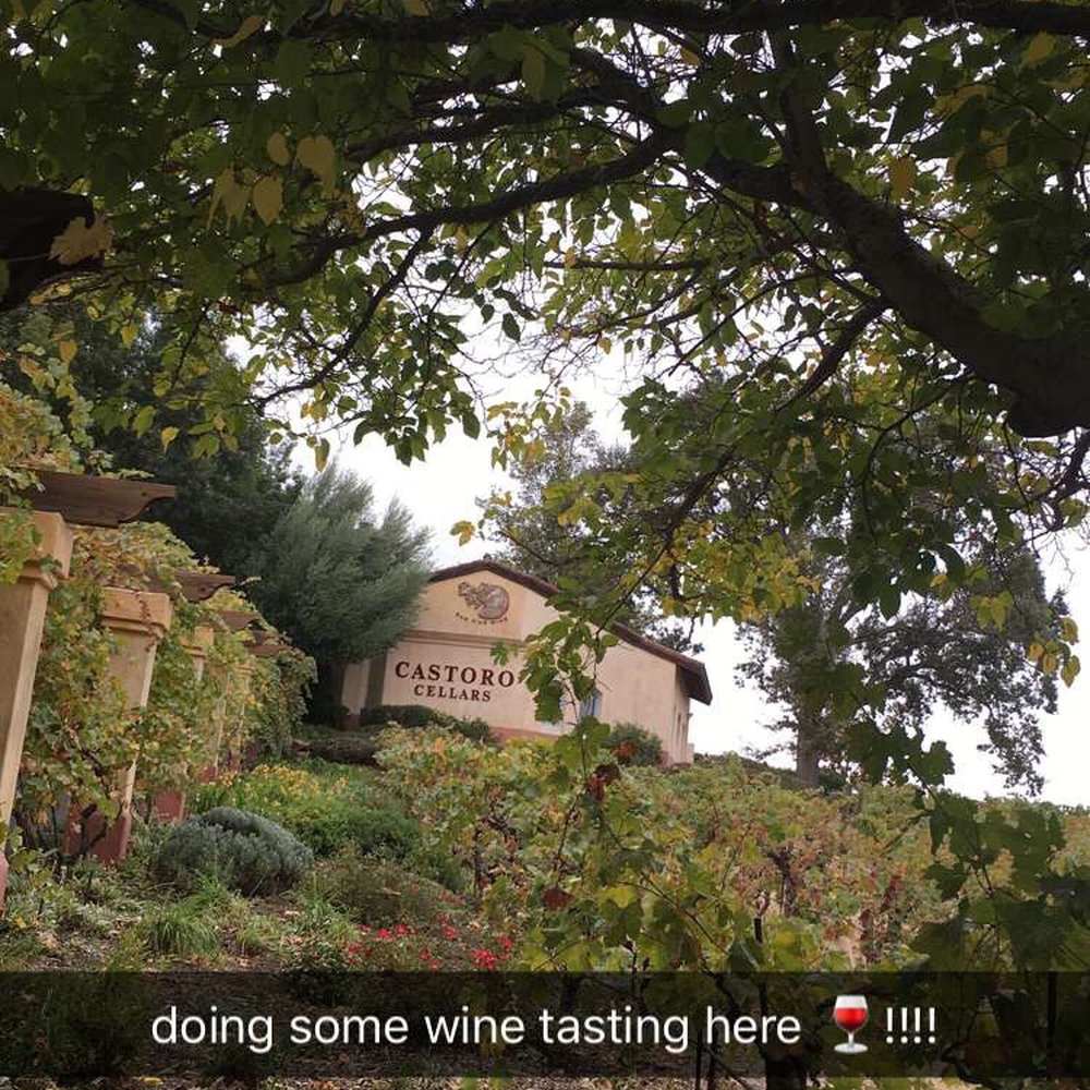 Castoro Cellars - Wineries Near Me - Templeton, California Castoro Cellars - Wineries Near Me - Templeton, California