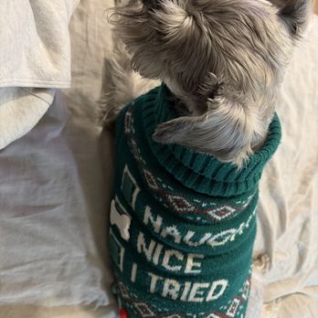 Atlas Pet Hospital - Veterinarians Near Me - Norco, California Atlas Pet Hospital - Veterinarians Near Me - Norco, California