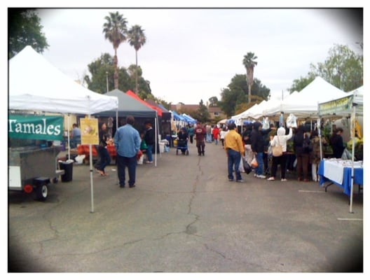 Berryessa Farmers' Market by null