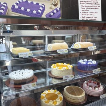 Red Ribbon Bakeshop - Bakeries Near Me - San Antonio, Texas Red Ribbon Bakeshop - Bakeries Near Me - San Antonio, Texas