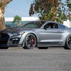 NLAB Wraps - SHELBY MUSTANG CUSTOM STRIPES
