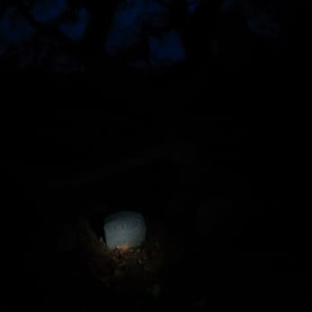 Harkness Memorial State Park - Pet Cemetery at night. - Landmarks & Historical Buildings Near Me - Waterford, Connecticut