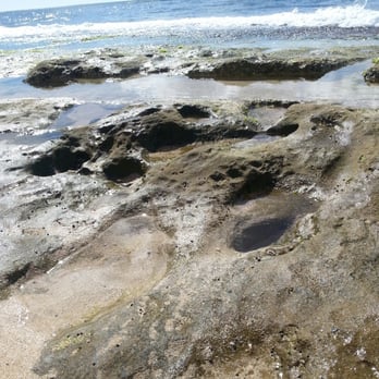Laniakea Beach - Beaches Near Me - Haleiwa, Hawaii Laniakea Beach - Beaches Near Me - Haleiwa, Hawaii