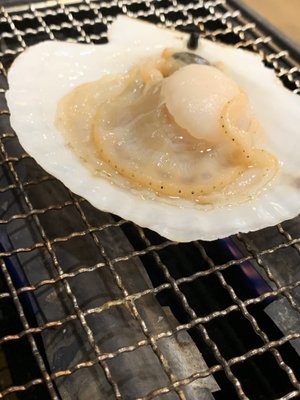 磯丸水産 代々木店 - Updated June 2026 - 61 Photos - 代々木 1-32-1