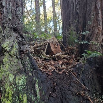 Bridgeview Trail - Dog Parks Near Me - Oakland, California