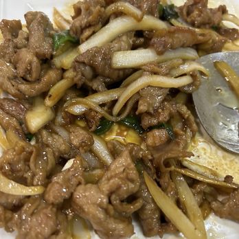 Sichuan City Chinese Restaurant - Green Onion Lamb - Szechuan Near Me - Happy Valley, Oregon