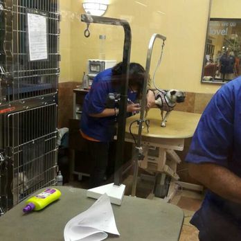 PetSmart - Pet Stores Near Me - Pembroke Pines, Florida