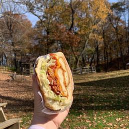 I mean...c'mon...look at that sandwich! I mean...c'mon...look at that sandwich!