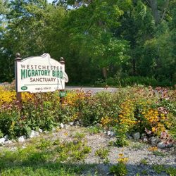 Westchester Migratory Bird Sanctuary - Westchester Migratory Bird Sanctuary.