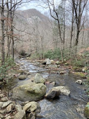Jones Gap State Park by null