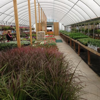 Earl's Nursery - Greenhouse shopping. - Nurseries & Gardening Near Me - Harrah, Oklahoma