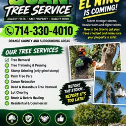 Juan Tree Service - Tree Trimming Tree Removal Free Estimates call today licensed insured and bonded
