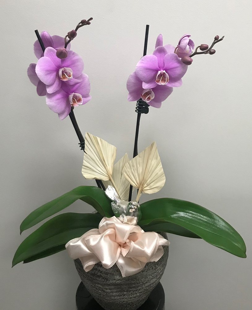 FLOWERS BY MAGGIE Updated September 2024 911 Richmond Road, Ottawa