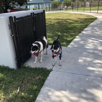 Woofing Waters Dog Park - Dog Parks Near Me - Deerfield Beach, Florida Woofing Waters Dog Park - Dog Parks Near Me - Deerfield Beach, Florida