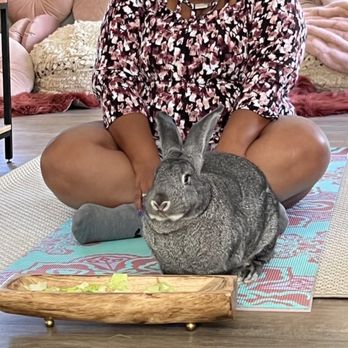 Epic Paddle Adventures - Another Bunny. Fiona was so Cute! - Paddleboarding Near Me - Orlando, Florida
