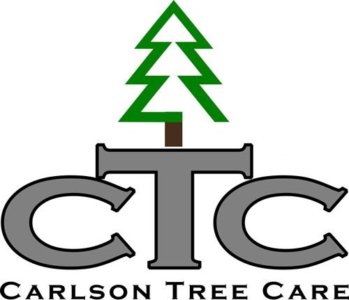 Carlson Tree Care - tree service in Shelton, WA