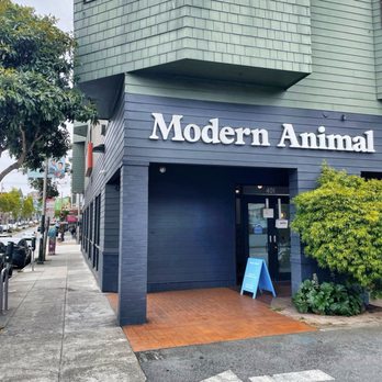 Modern Animal NOPA - Outside - Divisadero - Veterinarians Near Me - San Francisco, California Modern Animal NOPA - Outside - Divisadero - Veterinarians Near Me - San Francisco, California