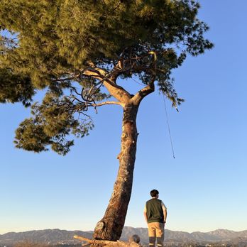 Elysian Park - Where did the swing go? - Parks Near Me - Los Angeles, California