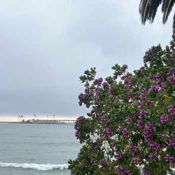 Cliff House Inn - View of pier - Hotels Near Me - Ventura, California