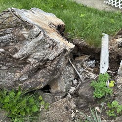 Robinsons Quality Tree Care